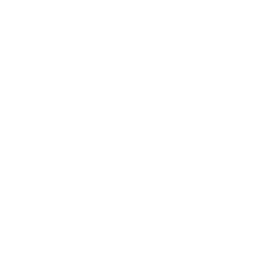 wix-1